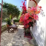 Beyaz Ev *