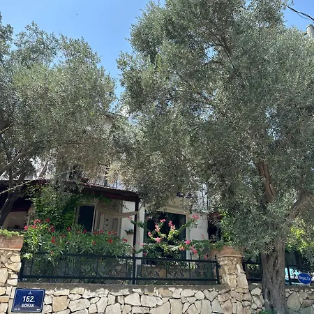 Privat bolig Beyaz Ev